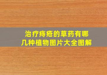 治疗痔疮的草药有哪几种植物图片大全图解