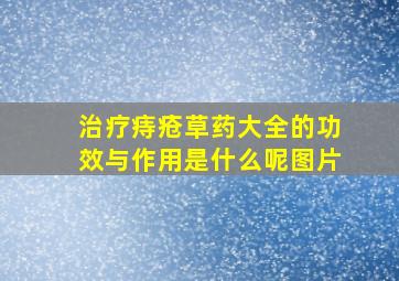 治疗痔疮草药大全的功效与作用是什么呢图片