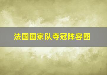 法国国家队夺冠阵容图