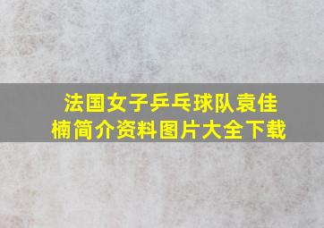 法国女子乒乓球队袁佳楠简介资料图片大全下载