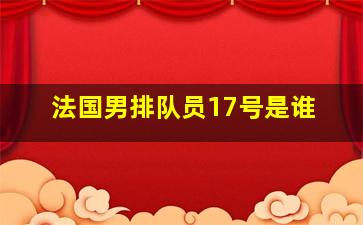 法国男排队员17号是谁