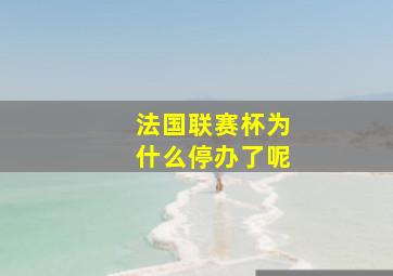 法国联赛杯为什么停办了呢