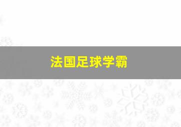 法国足球学霸