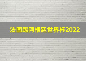 法国踢阿根廷世界杯2022