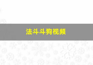 法斗斗狗视频