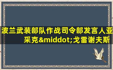 波兰武装部队作战司令部发言人亚采克·戈雷谢夫斯基