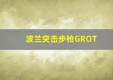 波兰突击步枪GROT