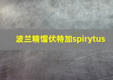 波兰精馏伏特加spirytus