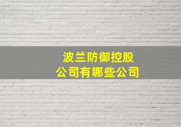 波兰防御控股公司有哪些公司