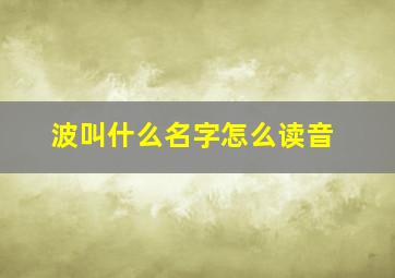 波叫什么名字怎么读音