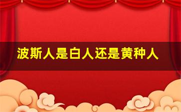 波斯人是白人还是黄种人