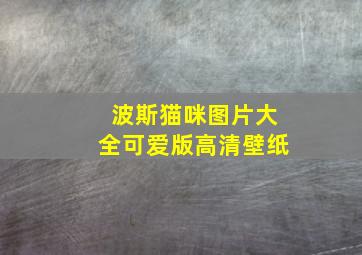 波斯猫咪图片大全可爱版高清壁纸