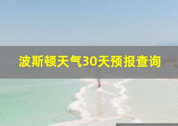 波斯顿天气30天预报查询