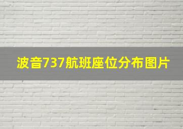 波音737航班座位分布图片