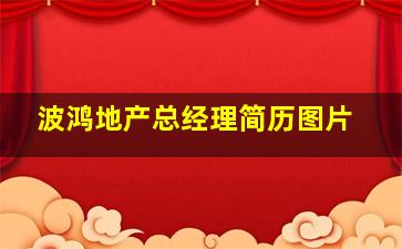 波鸿地产总经理简历图片