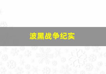 波黑战争纪实