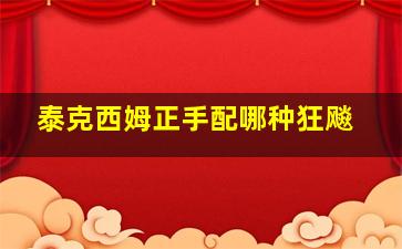 泰克西姆正手配哪种狂飚