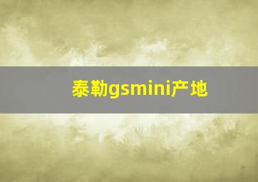 泰勒gsmini产地