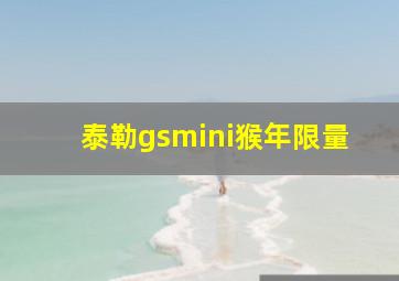 泰勒gsmini猴年限量