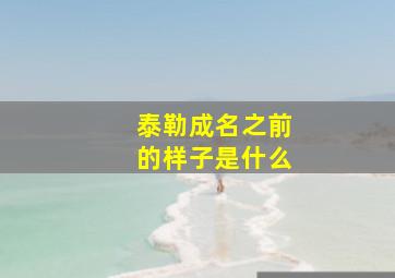 泰勒成名之前的样子是什么