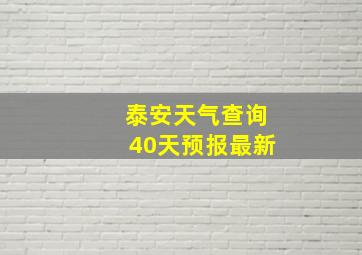 泰安天气查询40天预报最新