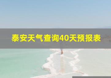 泰安天气查询40天预报表