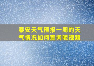 泰安天气预报一周的天气情况如何查询呢视频