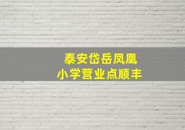 泰安岱岳凤凰小学营业点顺丰