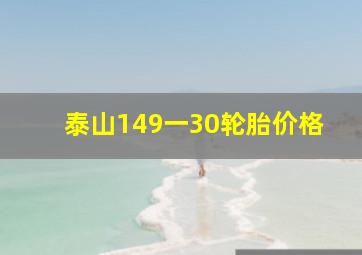 泰山149一30轮胎价格