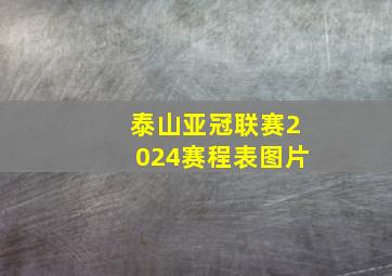 泰山亚冠联赛2024赛程表图片