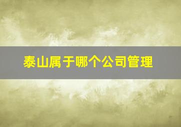 泰山属于哪个公司管理