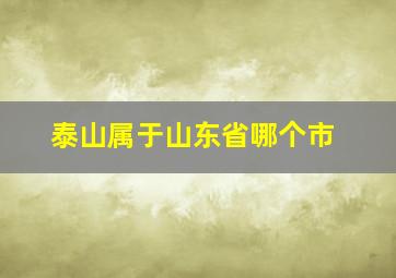 泰山属于山东省哪个市