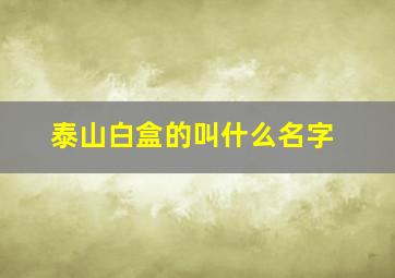 泰山白盒的叫什么名字