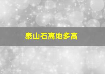 泰山石离地多高