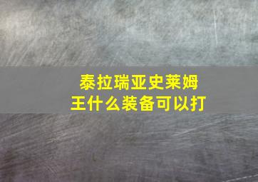 泰拉瑞亚史莱姆王什么装备可以打