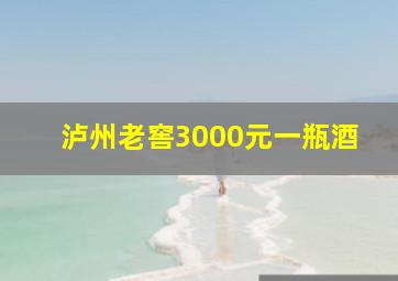 泸州老窖3000元一瓶酒