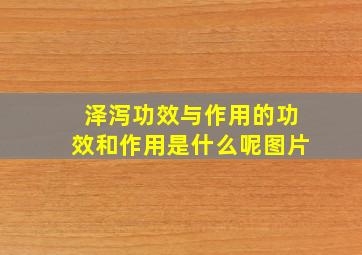 泽泻功效与作用的功效和作用是什么呢图片