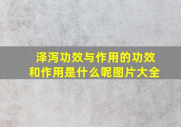 泽泻功效与作用的功效和作用是什么呢图片大全