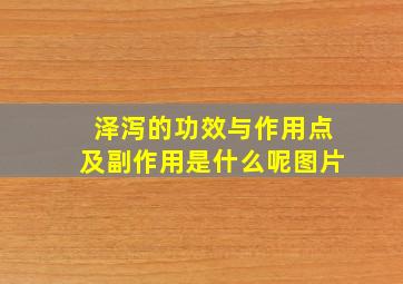 泽泻的功效与作用点及副作用是什么呢图片