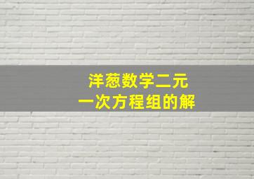 洋葱数学二元一次方程组的解