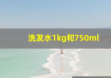 洗发水1kg和750ml