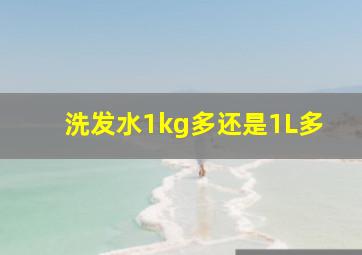 洗发水1kg多还是1L多