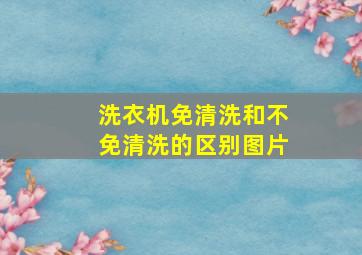 洗衣机免清洗和不免清洗的区别图片