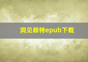 洞见赖特epub下载