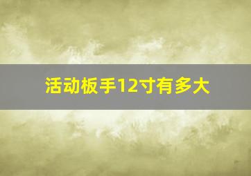 活动板手12寸有多大