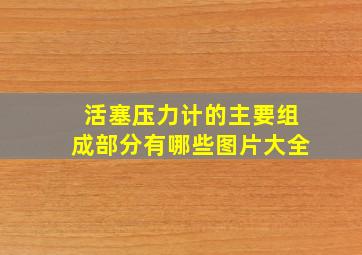 活塞压力计的主要组成部分有哪些图片大全