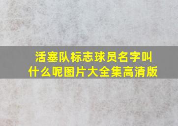 活塞队标志球员名字叫什么呢图片大全集高清版