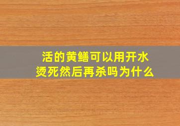 活的黄鳝可以用开水烫死然后再杀吗为什么