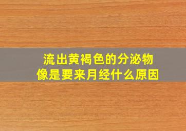 流出黄褐色的分泌物像是要来月经什么原因