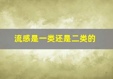 流感是一类还是二类的